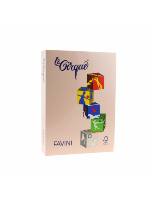 Carton sepia A4 160g/mp 250 coli/top, Favini